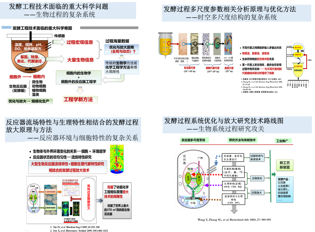 微生物發(fā)酵過程優(yōu)化