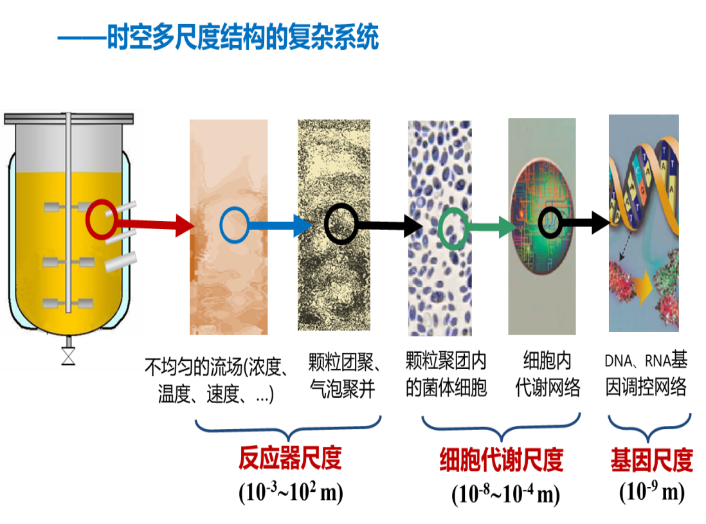 工業(yè)生物過程系統(tǒng)優(yōu)化與集成研究團(tuán)隊