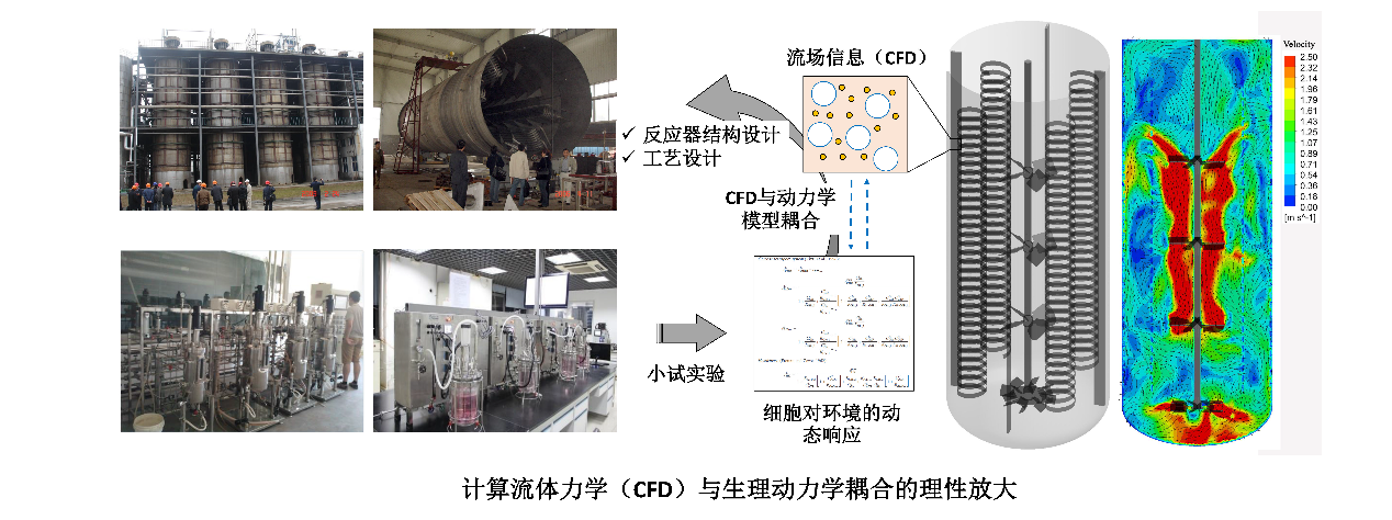 發(fā)酵過程理性放大