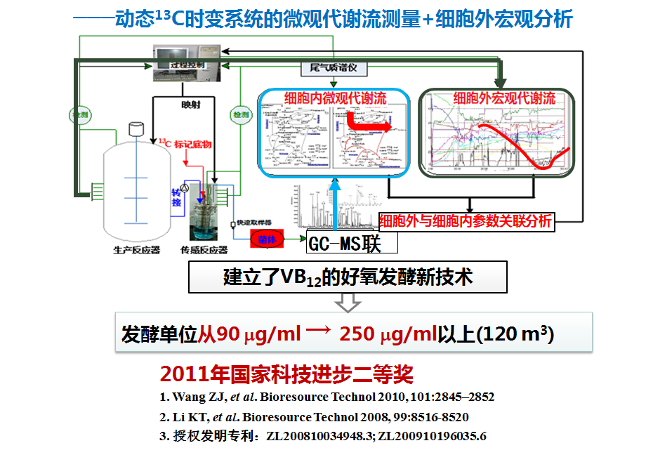 維生素B12發(fā)酵過程優(yōu)化