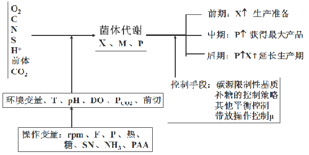 青霉素發(fā)酵過程優(yōu)化控制